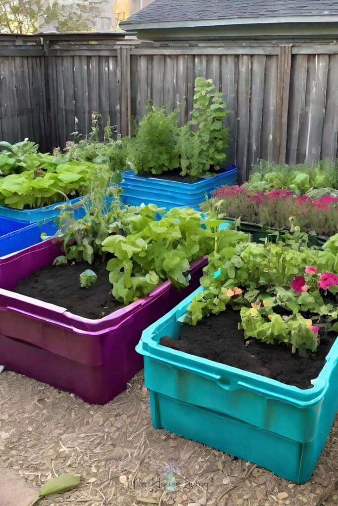 cheap container gardening ideas